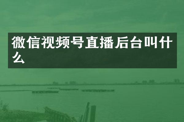 微信视频号直播后台叫什么