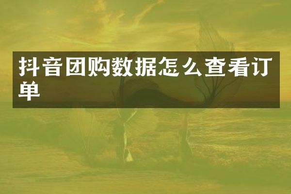 抖音团购数据怎么查看订单