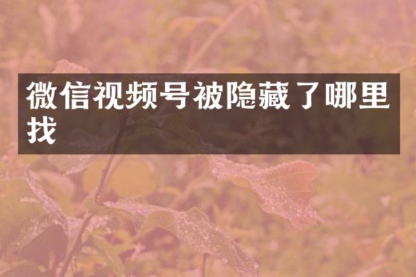 微信视频号被隐藏了哪里找