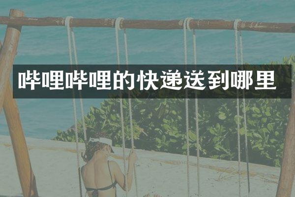 哔哩哔哩的快递送到哪里