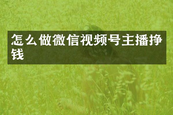 怎么做微信视频号主播挣钱