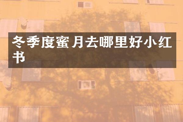 冬季度蜜月去哪里好小红书