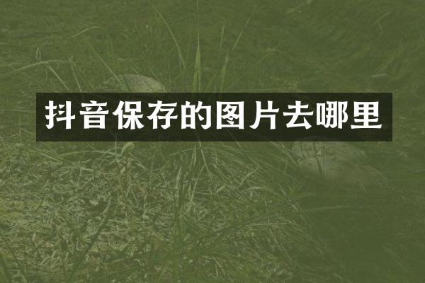 抖音保存的图片去哪里