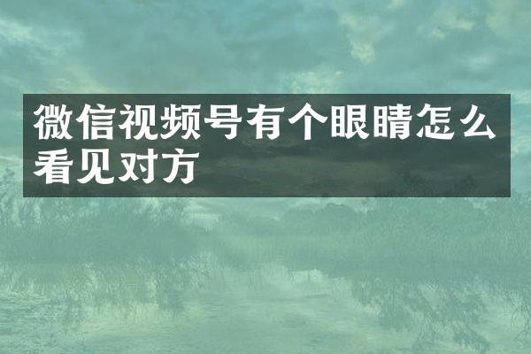 微信视频号有个眼睛怎么看见对方