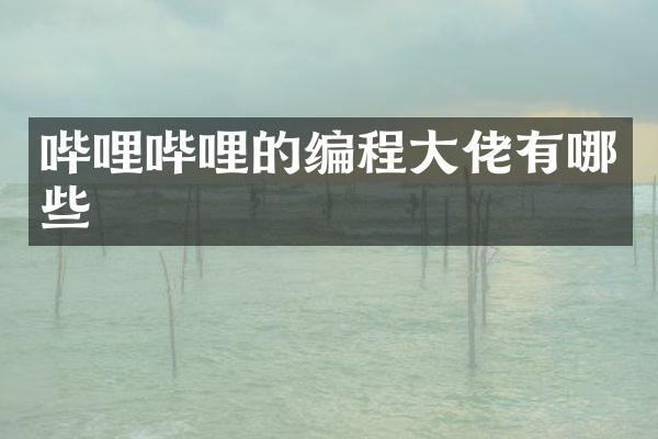 哔哩哔哩的编程大佬有哪些