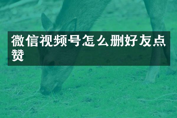微信视频号怎么删好友点赞