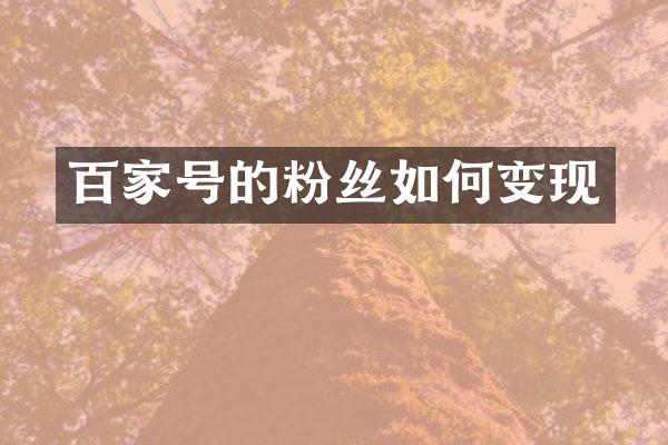 百家号的粉丝如何变现