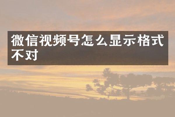 微信视频号怎么显示格式不对