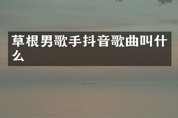 草根男歌手抖音歌曲叫什么