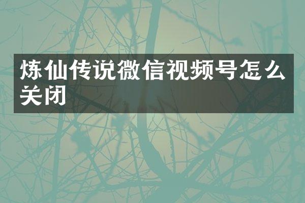 炼仙传说微信视频号怎么关闭