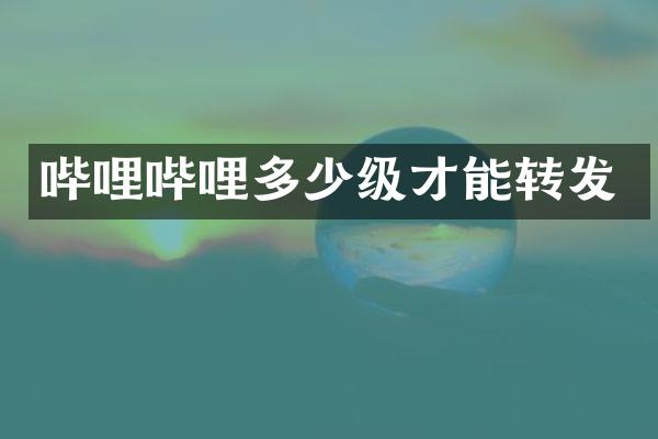 哔哩哔哩多少级才能转发