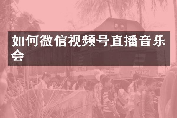 如何微信视频号直播音乐会