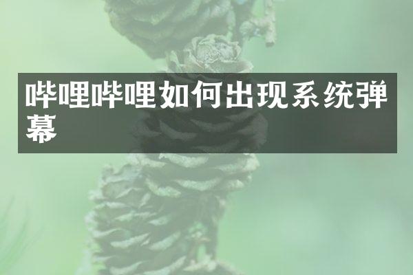 哔哩哔哩如何出现系统弹幕