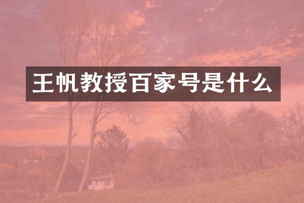 王帆教授百家号是什么