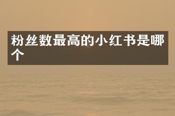 粉丝数最高的小红书是哪个