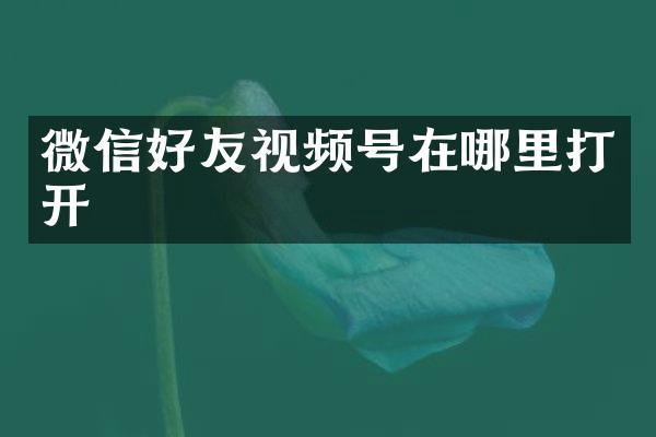 微信好友视频号在哪里打开