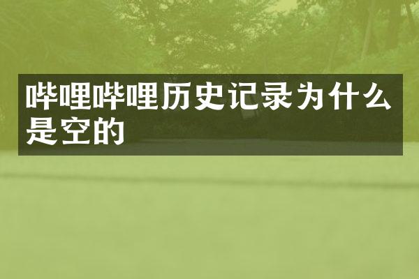 哔哩哔哩历史记录为什么是空的