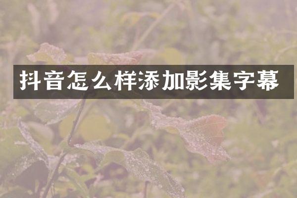 抖音怎么样添加影集字幕