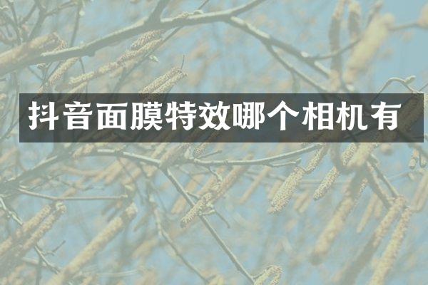 抖音面膜特效哪个相机有