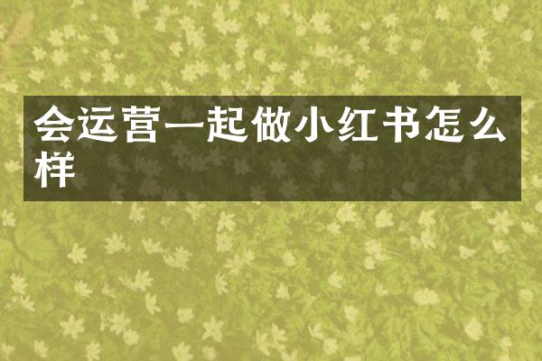 会运营一起做小红书怎么样