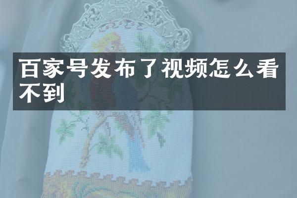 百家号发布了视频怎么看不到