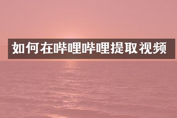如何在哔哩哔哩提取视频