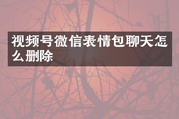 视频号微信表情包聊天怎么删除