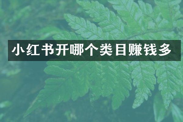 小红书开哪个类目赚钱多