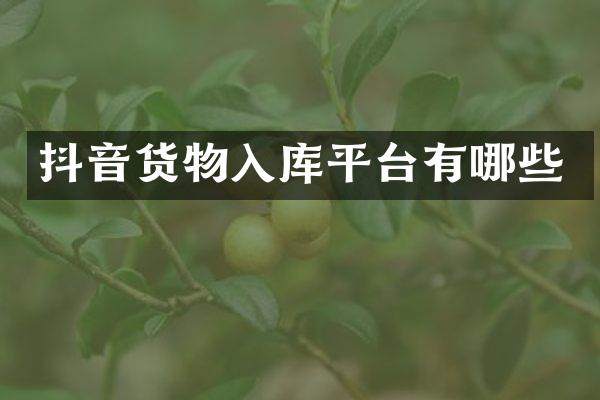 抖音货物入库平台有哪些