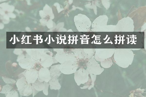 小红书小说拼音怎么拼读