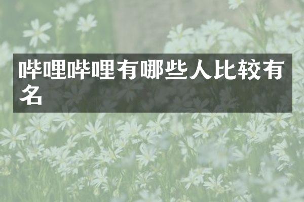 哔哩哔哩有哪些人比较有名