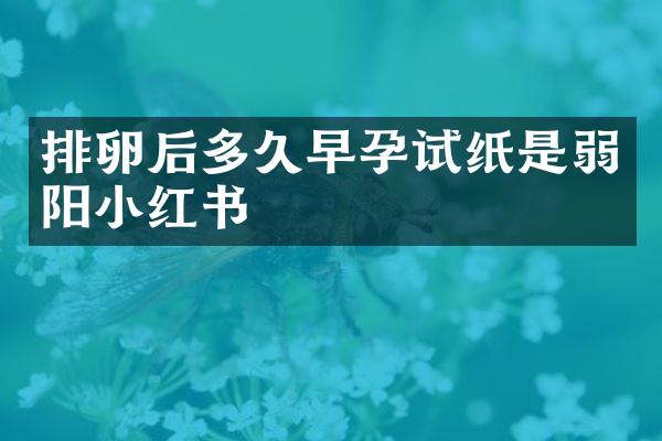 排卵后多久早孕试纸是弱阳小红书