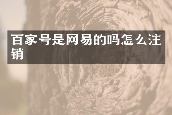 百家号是网易的吗怎么注销