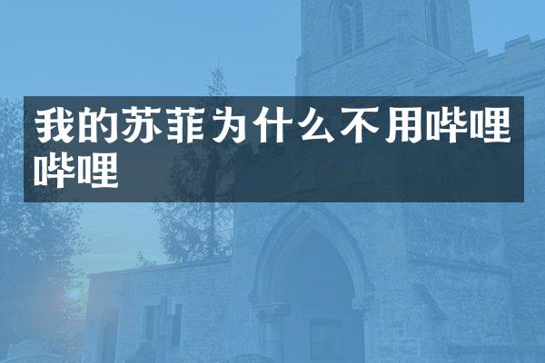 我的苏菲为什么不用哔哩哔哩