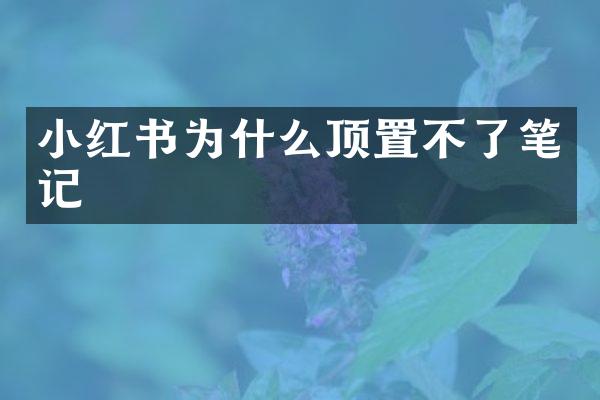 小红书为什么顶置不了笔记
