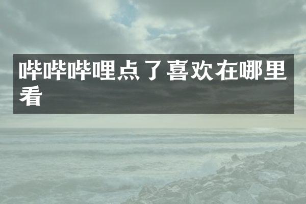 哔哔哔哩点了喜欢在哪里看