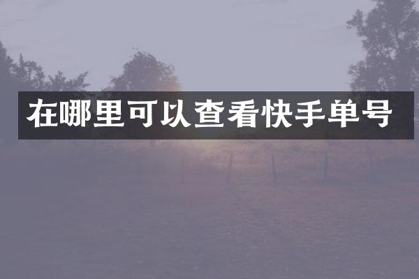 在哪里可以查看快手单号