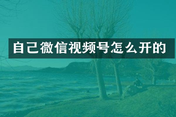 自己微信视频号怎么开的