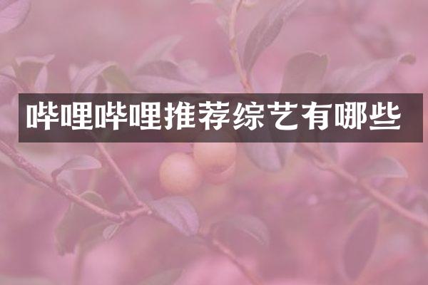 哔哩哔哩推荐综艺有哪些