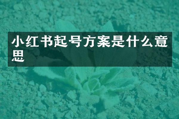 小红书起号方案是什么意思