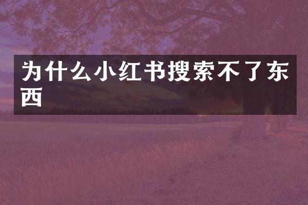 为什么小红书搜索不了东西