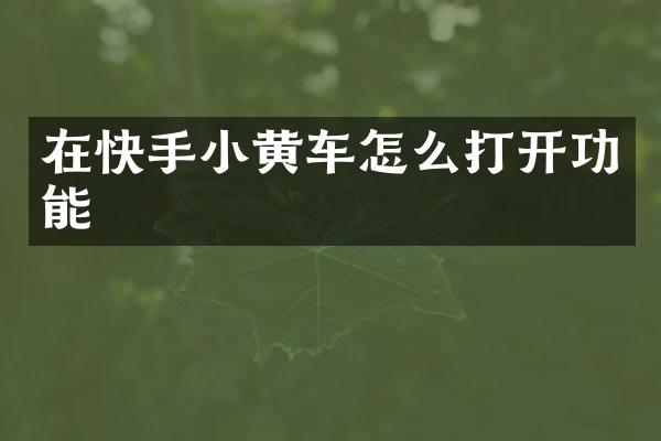 在快手小黄车怎么打开功能
