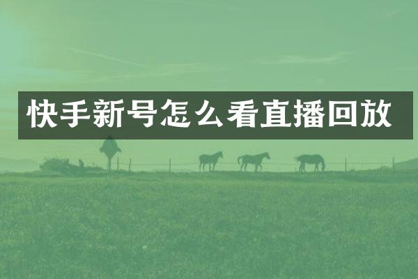 快手新号怎么看直播回放