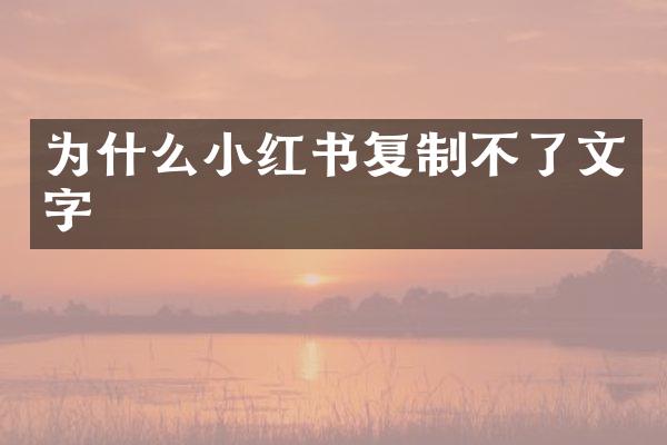 为什么小红书复制不了文字
