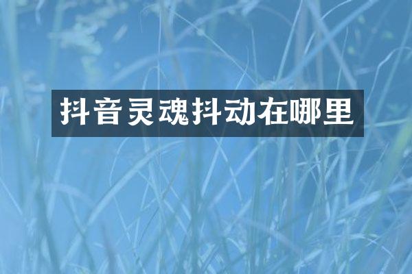 抖音灵魂抖动在哪里