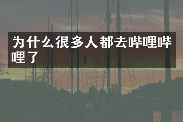 为什么很多人都去哔哩哔哩了