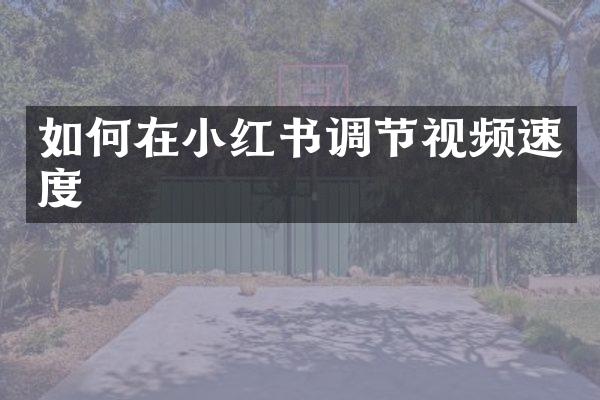 如何在小红书调节视频速度