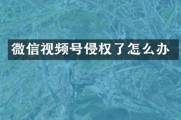 微信视频号侵权了怎么办