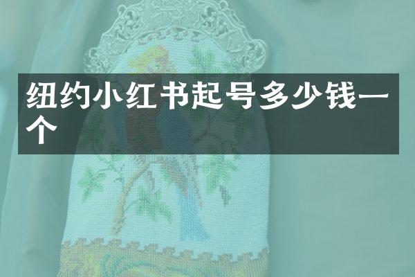 纽约小红书起号多少钱一个