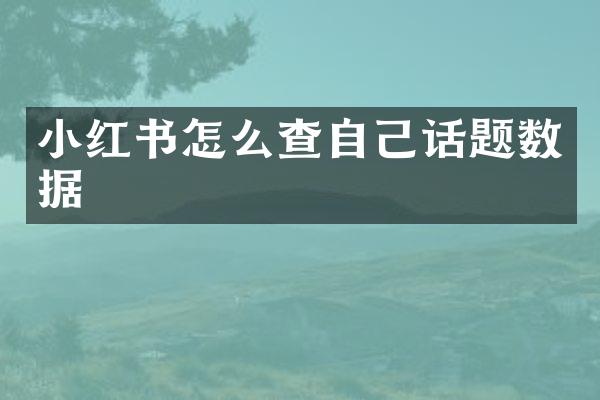 小红书怎么查自己话题数据